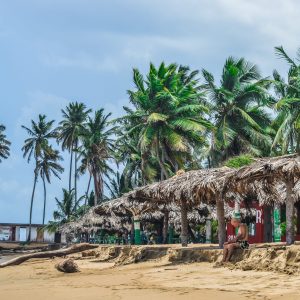 michael-mims-l8rNZcpwS24-unsplash